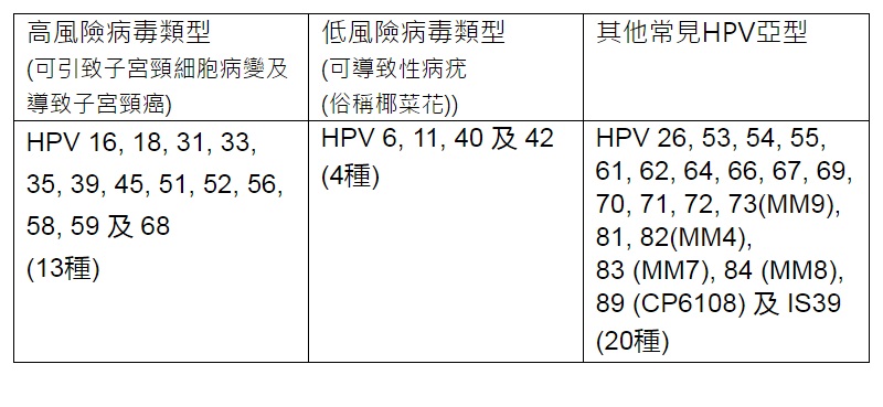 HPV病毒种类
